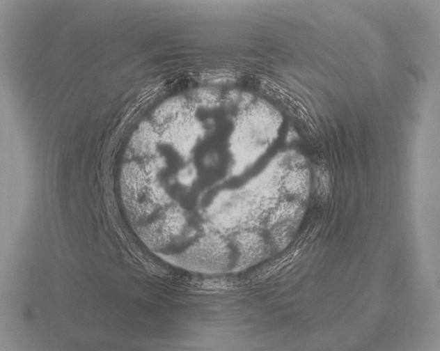 X0000115391393200912151450