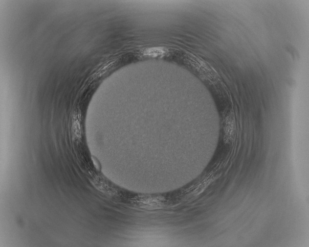 X0000115391394200912151450