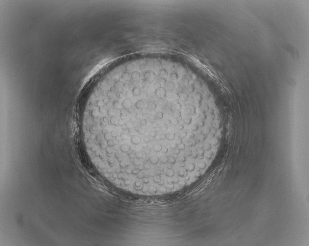 X0000115391400200912151450