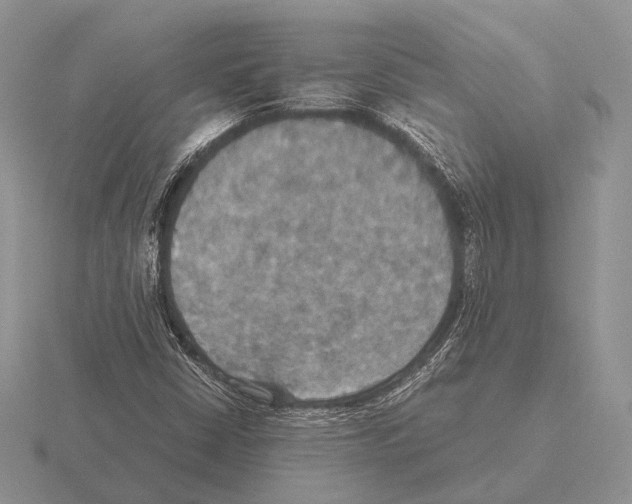 X0000115391402200912151450