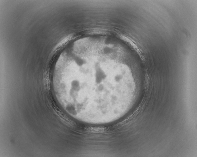 X0000115391403200912151450