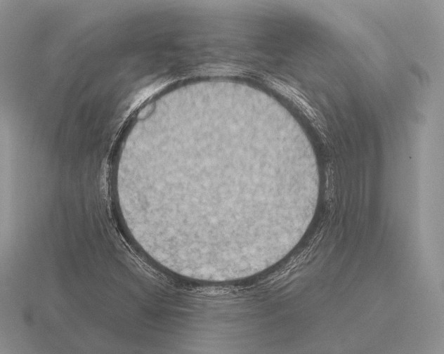 X0000115391404200912151450