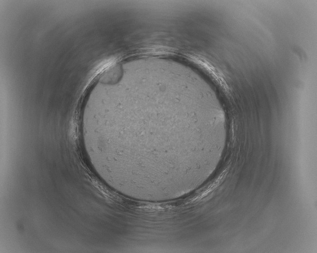 X0000115391405200912151450