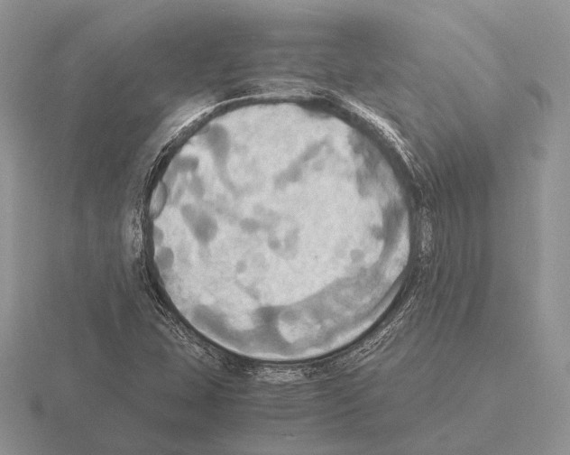 X0000115391407200912151450