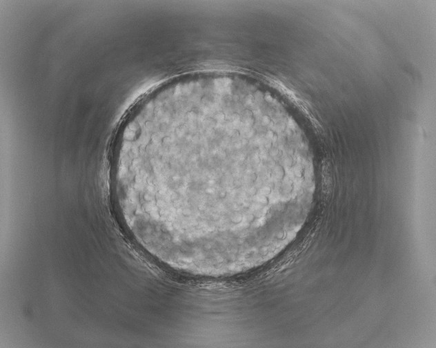 X0000115391408200912151450