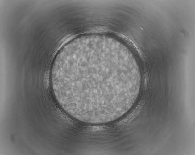 X0000115391409200912151450