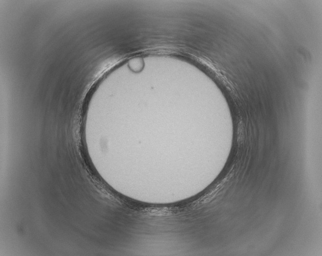 X0000115391410200912151450