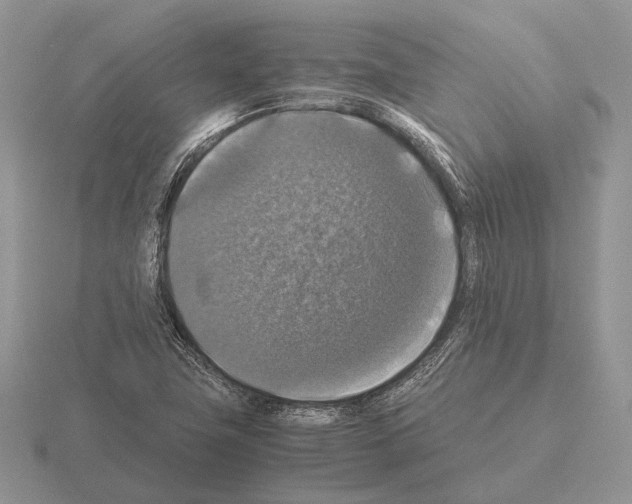 X0000115391411200912151450