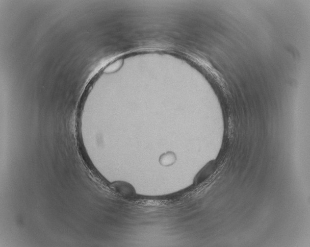 X0000115391412200912151450