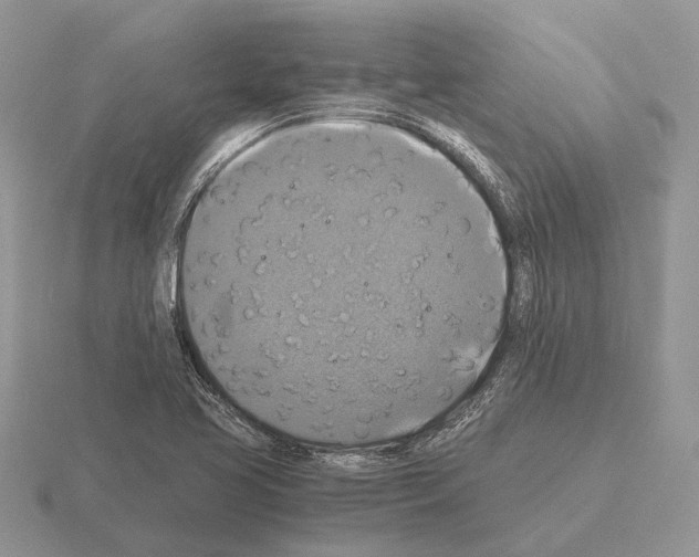 X0000115391413200912151450