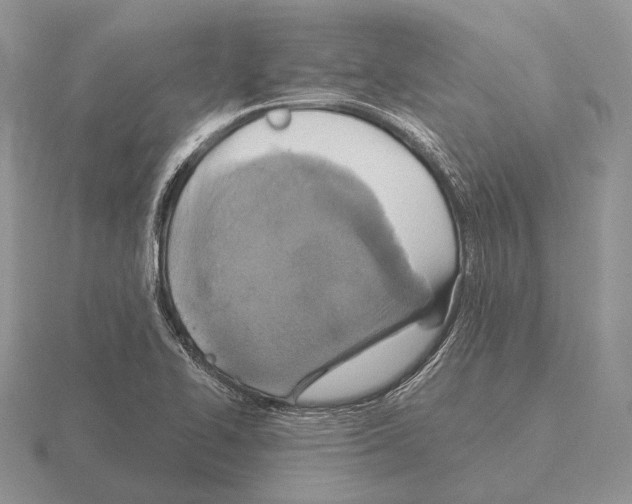 X0000115391414200912151450