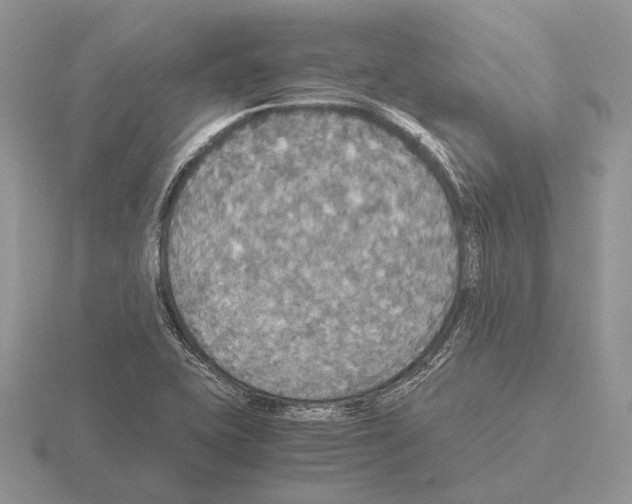 X0000115391415200912151450