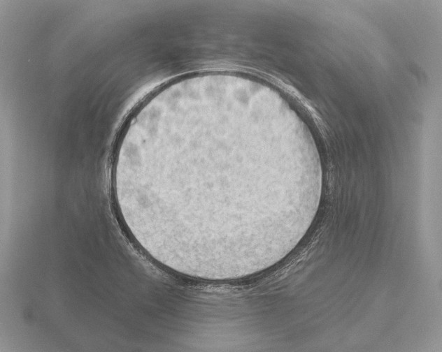 X0000115391416200912151450