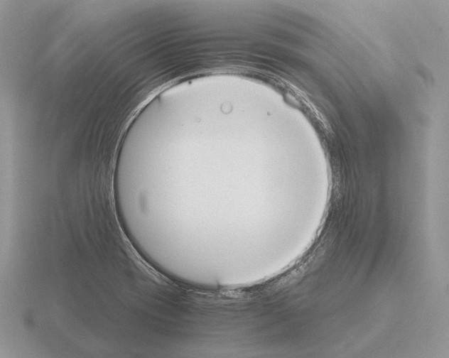 X0000115391417200912151450