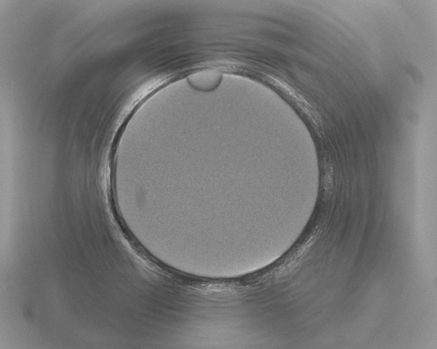 X0000115391418200912151450