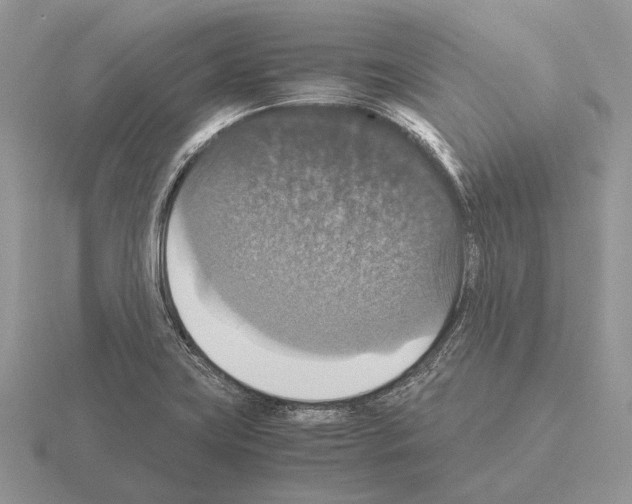 X0000115391419200912151450