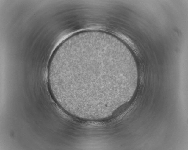 X0000115391420200912151450