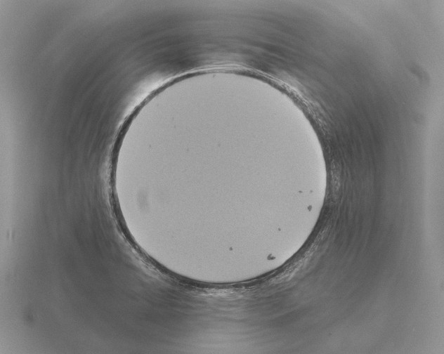 X0000115391422200912151450