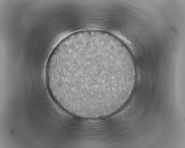 X0000115391423200912151450