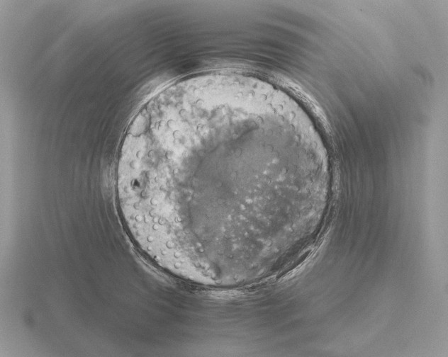 X0000115391425200912151450