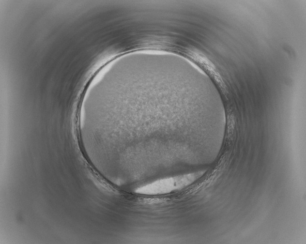 X0000115391427200912151450