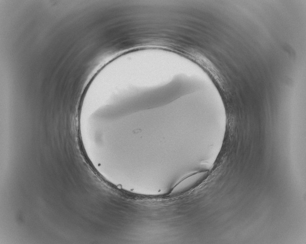 X0000115391428200912151451