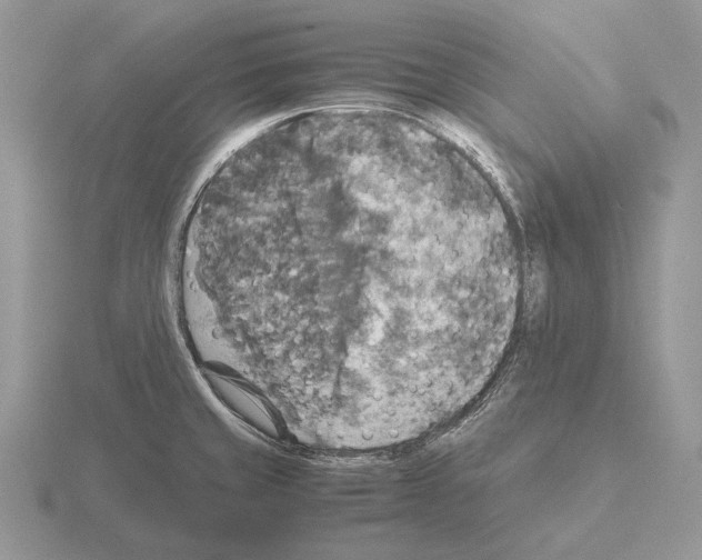 X0000115391429200912151451