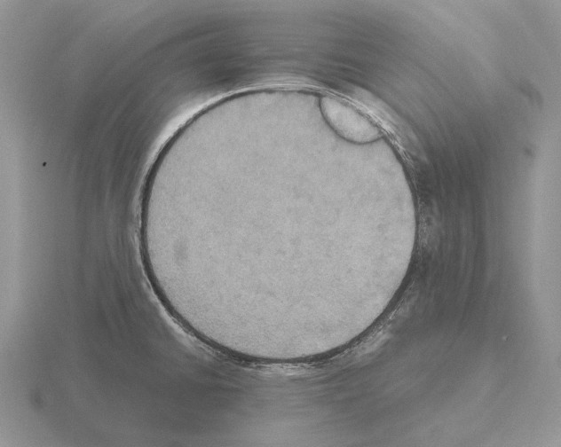 X0000115391430200912151451