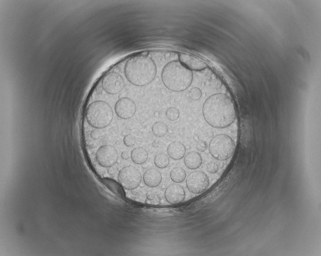 X0000115391432200912151451