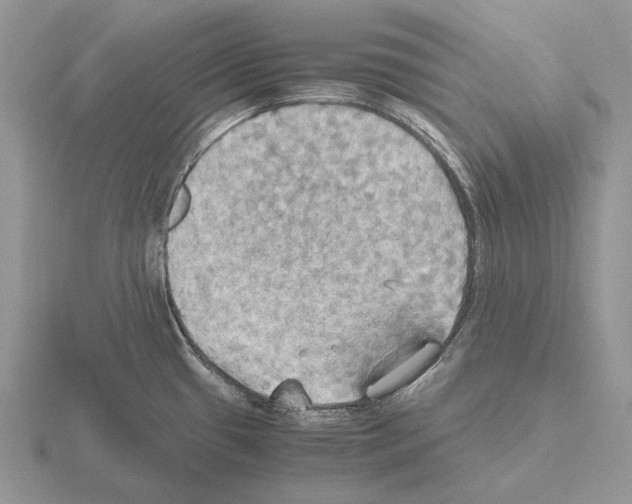 X0000115391433200912151451