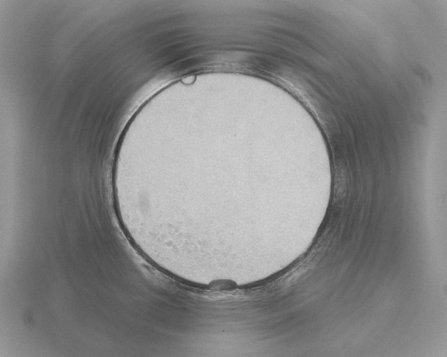 X0000115391434200912151451