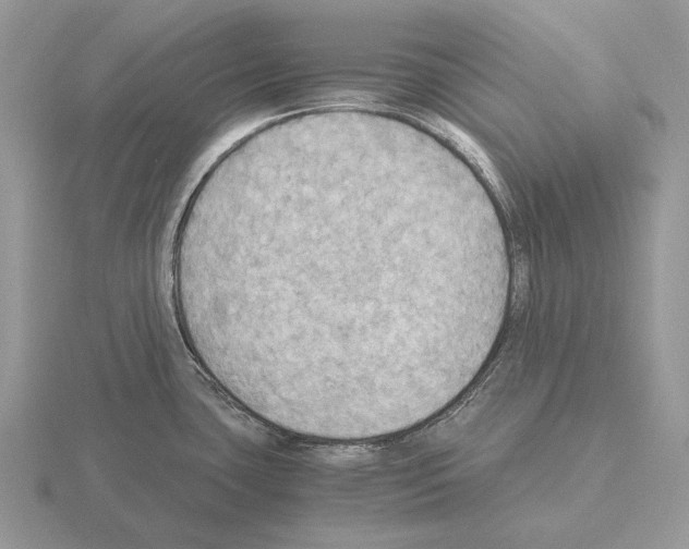 X0000115391435200912151451