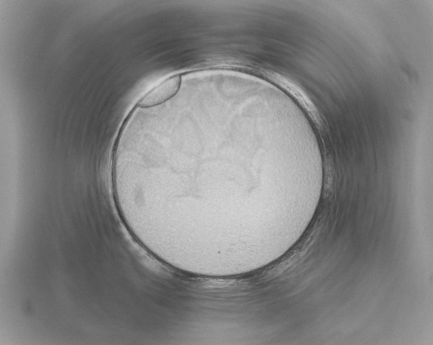 X0000115391439200912151451