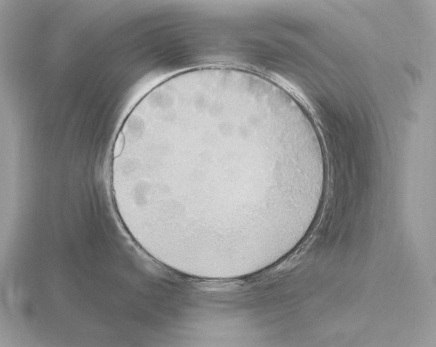 X0000115391440200912151451