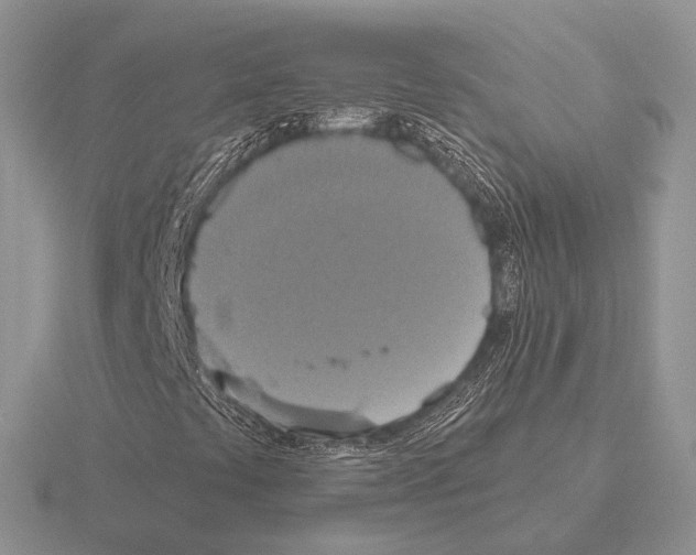 X0000115391441200912151450