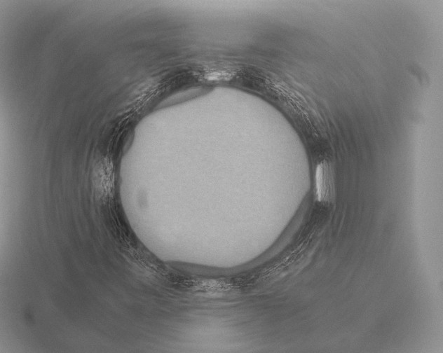 X0000115391443200912151450