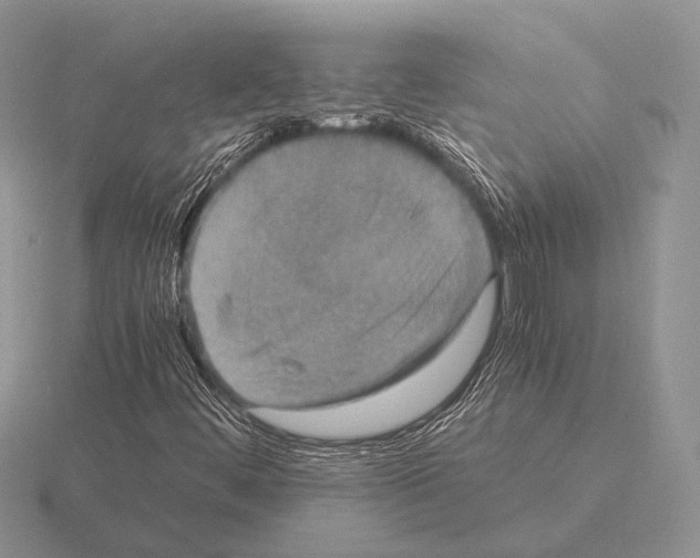 X0000115391444200912151450