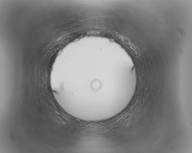 X0000115391445200912151450