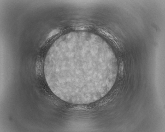 X0000115391446200912151450