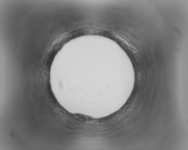 X0000115391447200912151450