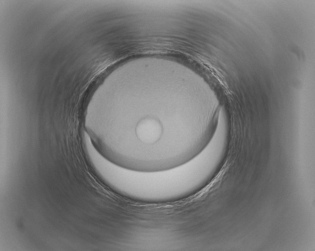 X0000115391449200912151450