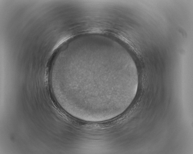 X0000115391450200912151450