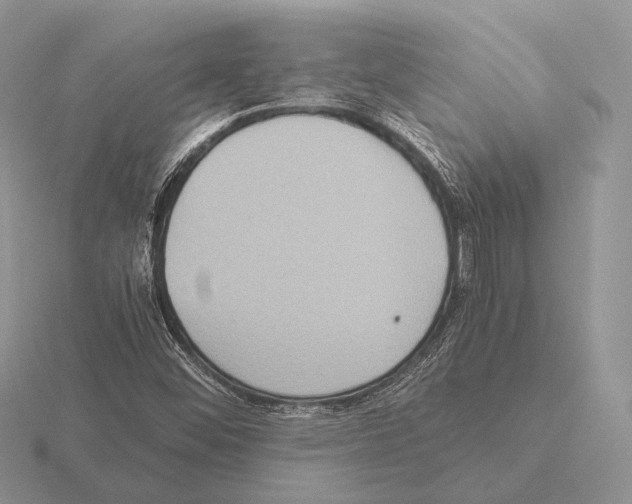 X0000115391452200912151450