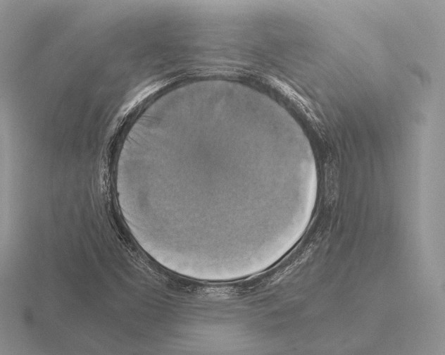 X0000115391453200912151450