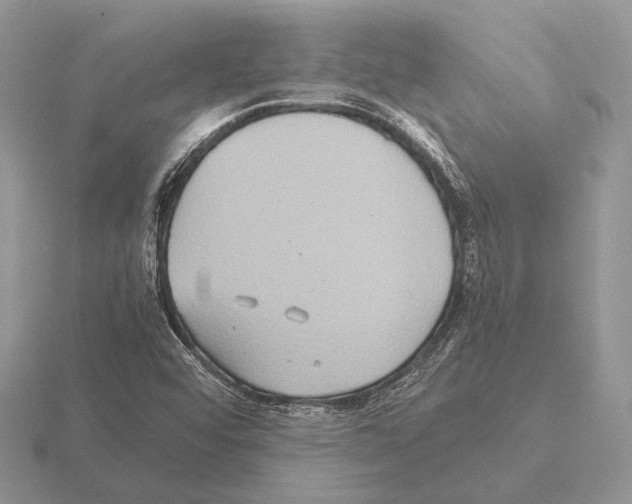 X0000115391456200912151450