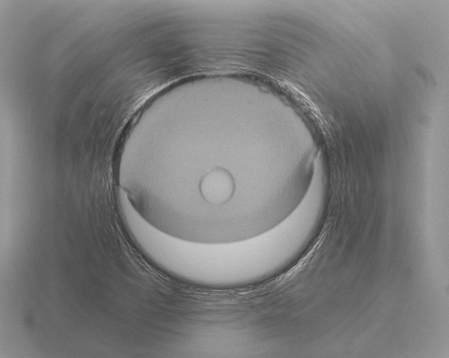 X0000115391457200912151450