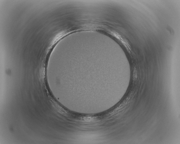 X0000115391459200912151450