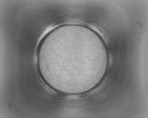 X0000115391462200912151450