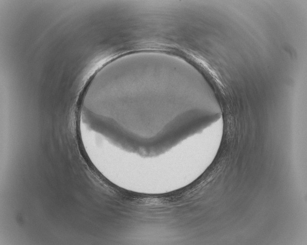 X0000115391463200912151450