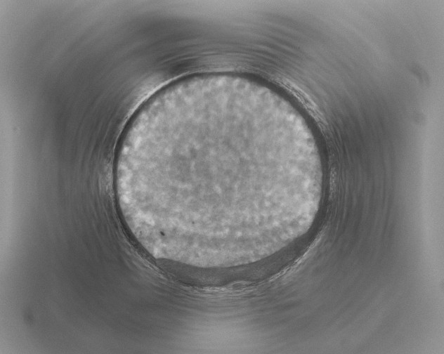 X0000115391465200912151450